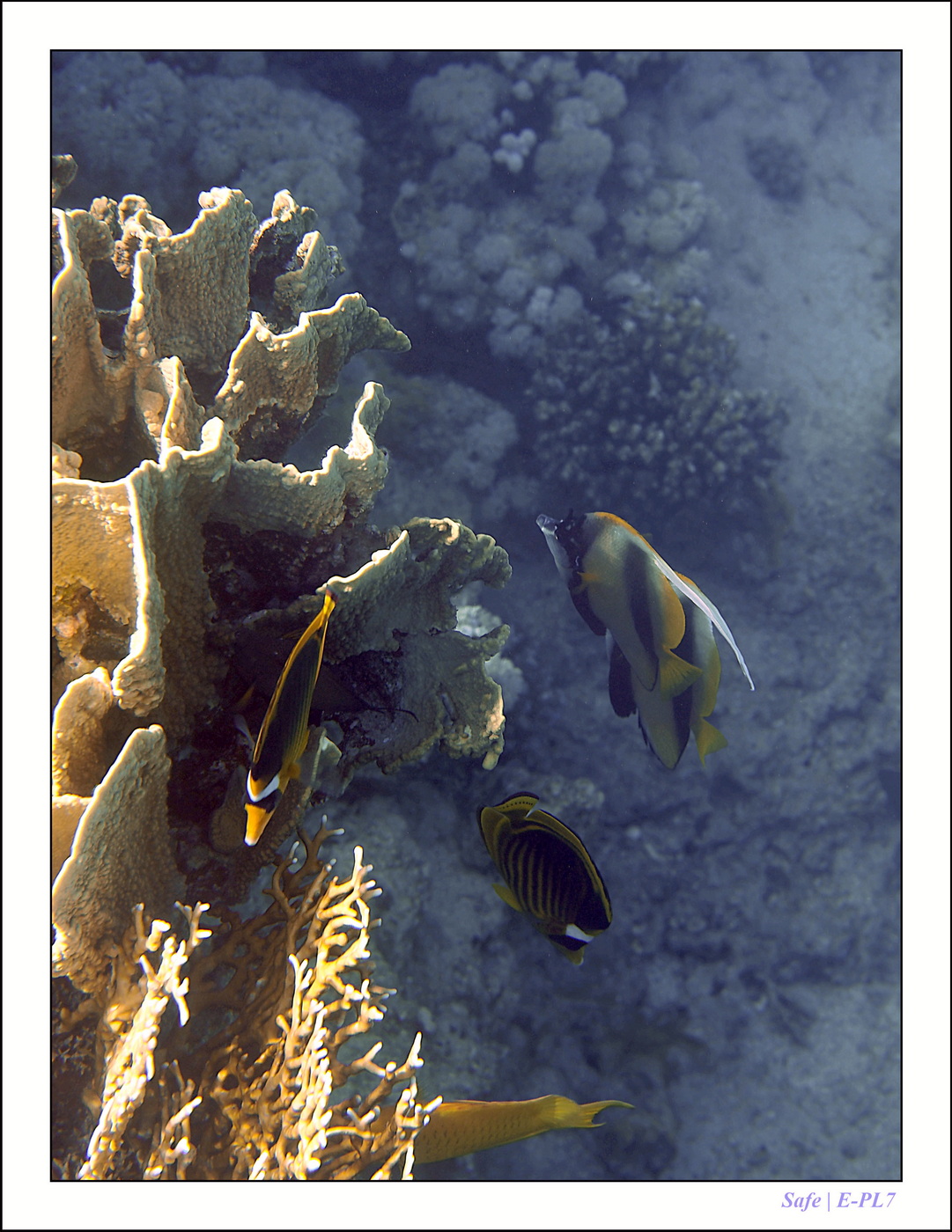 2023 - 03 - Charm El Sheikh - 44